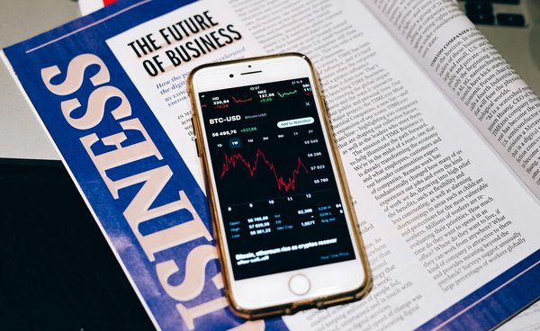 Maximiser l"impact des marques animalières sur instagram : stratégies pour enchanter votre audience